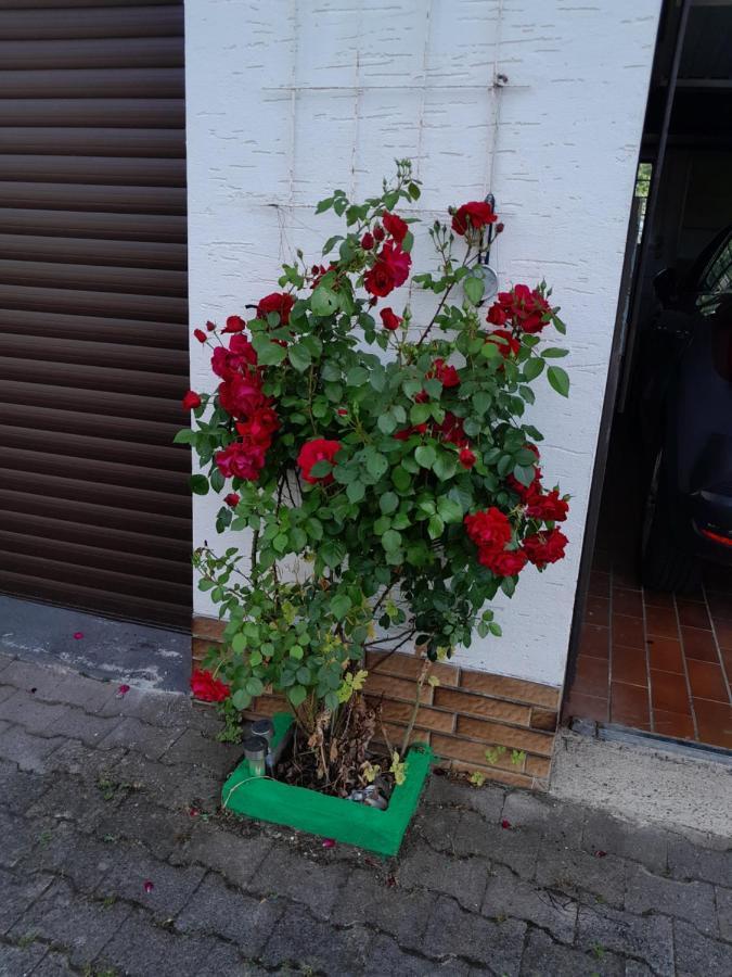 Casa Natur 메데바흐 외부 사진