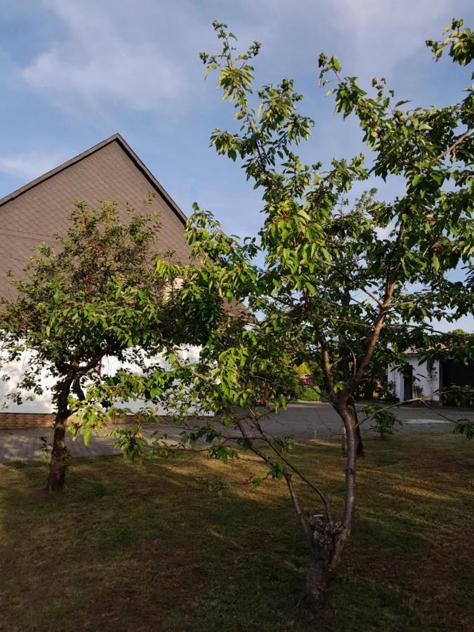 Casa Natur 메데바흐 외부 사진
